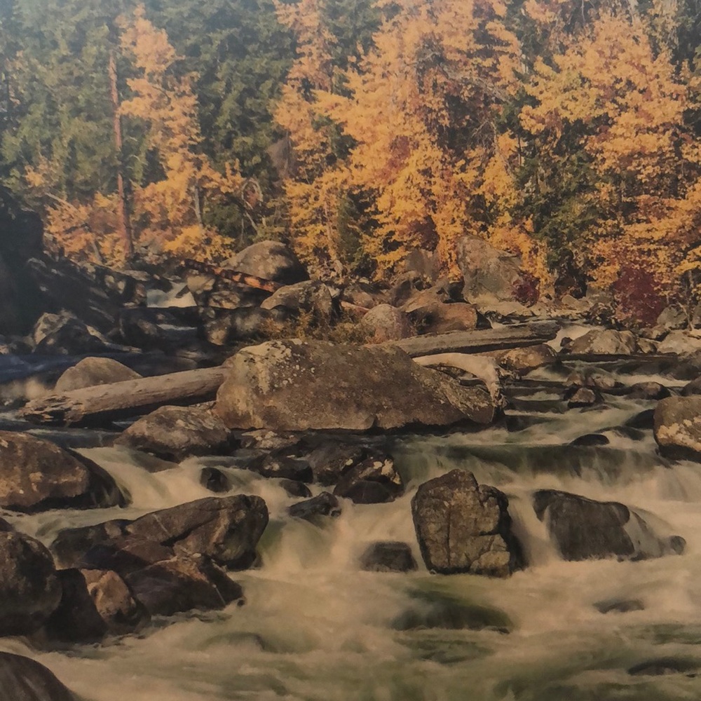 Meet your Posher, Gradi